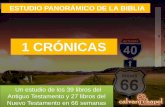 P13 Estudio Panorámico de la Biblia: 1 Crónicas