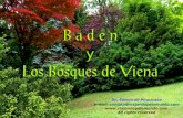 Baden e os_bosques_de_viena_-_em_espanhol