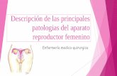 Patologías del aparato reproductor femanino  (1)