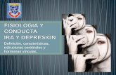 Ira y depresion