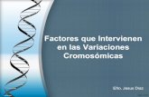Factores que intervienen en las variaciones cromosomicas