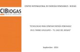 Presentacion biogas-luis lucio -esp