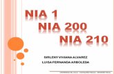 NICC 1 - NIA 200 - NIA 210
