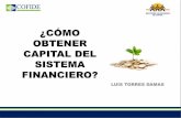 Charla N° 18: ¿Cómo obtener capital en el sistema financiero? - Luis Torres Damas