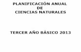 Planificacion anual ciencias naturales tercer año 2013