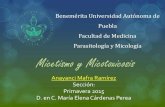 Micotoxicosis y micetismo completo
