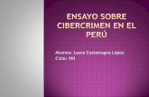 Ensayo sobre cibercrimen en el perú
