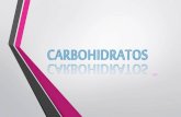 Carbohidratos- Clasificación, Absorcio y Metabolismo