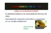 Biodiversidad de Bolivia 2013