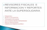 revisoria fiscal sector solidario