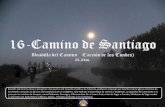 16-Camino de Santiago (Boadilla del Camino - Carrión de los Condes) 25.2 km.