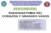 Radioanatomia Del Corazon Y Grandes Vasos