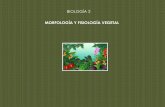 Morfología y fisiología vegetal