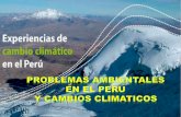 Problemas ambientales y cambio climático en el Perú G2