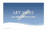 Ley 30057 NUEVA LEY RECURSOS HUMANOS DEL ESTADO, PERÚ