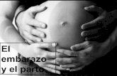 El embarazo-y-el-parto