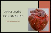 Anatomía coronaria (for dummies)