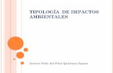 Tipología  de impactos ambientales.001pptx