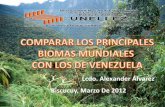 Biomas de venezuela