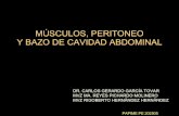 Músculos, peritoneo y bazo de abdomen