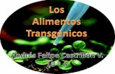 Alimentos Trasgenicos   Castrillon Felipe