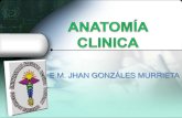 Anatomía clinica m.s.