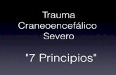 Trauma Craneal - 7 Principios de Manejo