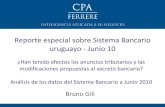 Reporte especial sobre sistema bancario uruguayo   junio 2010