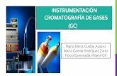 Instrumentación cromatografía de gases  2012-ii