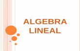 Presentacion del proyecto de algebra lineal, segundo ciclo de ingenieria en sistemas mariano galvez