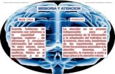 Presentacion psicopedagogia memoria y atencion