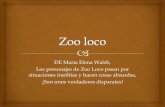 Zoo loco 7°a