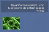 Relación hospedador - virus & patogenia de enfermedades viricas