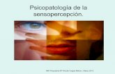 Psicopatologia de la percepción