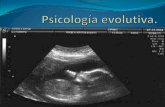 Psicología evolutiva diapositivas