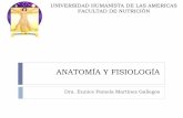 ANATOMIA Y FISIOLOGÍA SABATINO: Introducción a la Anatomía y Fisiologia