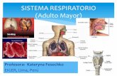 1.5 sistema respiratorio