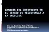 Cambios del hepatocito en el estado de resistencia a la insulina