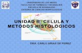 Celula. mat histologico