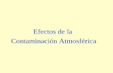Efectos de-la-contaminacion-atmosferica-24497