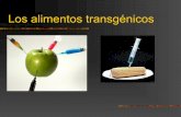 Transgenicos (1)