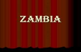 Presentation 1 estefania zambia