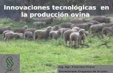 Innovaciones tecnológicas en la producción ovina