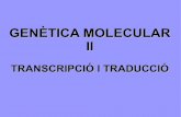 Genètica molecular ii transcripció