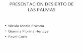 PRESENTACIÓN DESIERTO DE LAS PALMAS