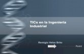 Ing. Industrial (TICs)