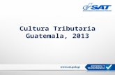 Cultura Tributaria: Guatemala, 2013 - Pierina Piedrasanta
