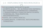 2.1 exploracion neurologica