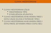 Clima mediterrani