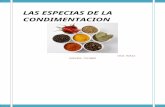 Especias de la condimentacion-GASTRONOMIA